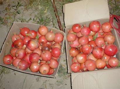 Boxes of Pomegranates - Yazd by Husein Hemmati 2005